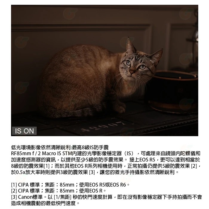 Canon RF 85mm F2 Macro IS STM 微距 人像鏡頭 台灣佳能公司貨-細節圖6
