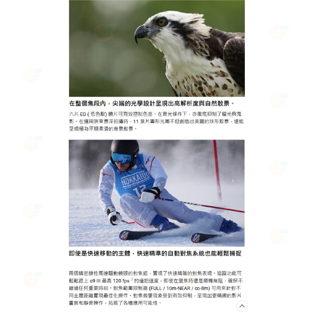 SONY SEL400800G FE 400-800mm F6.3-8 G OSS 鏡頭 台灣索尼公司貨 400-800-細節圖3