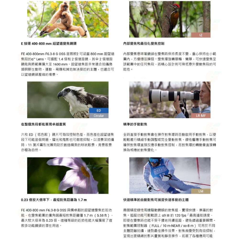 SONY SEL400800G FE 400-800mm F6.3-8 G OSS 鏡頭 台灣索尼公司貨 400-800-細節圖5