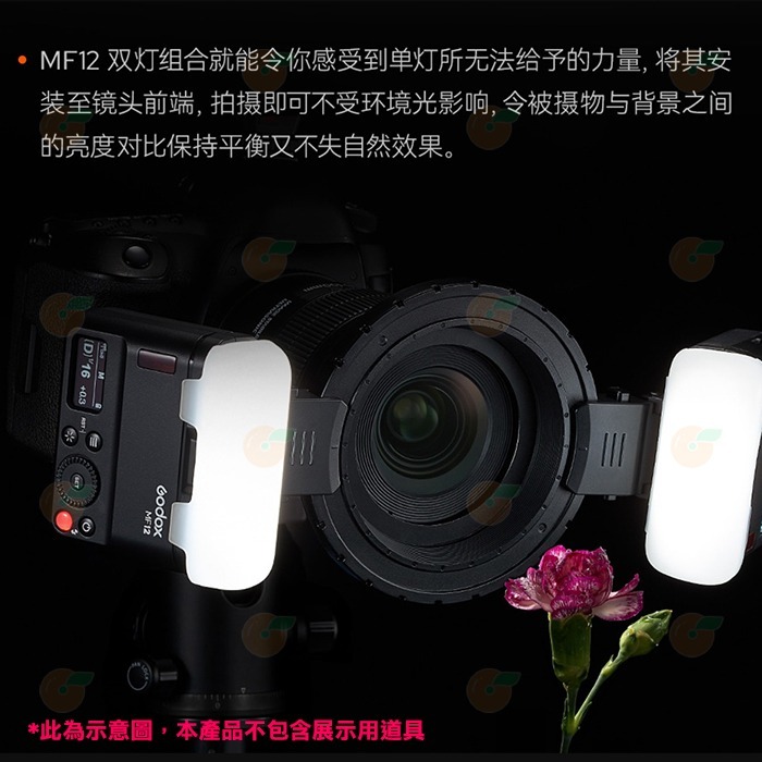 神牛 Godox MF12-K2 雙燈套組 公司貨 打光 人像 商攝 棚拍 含 柔光罩 冷靴座 色片 便攜包-細節圖5
