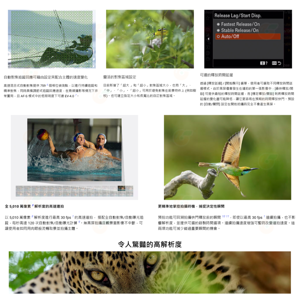 SONY α1 II BODY 二代 全片幅 數位單眼相機 機身 台灣索尼公司貨 A1 II A1II ILCE-1M2-細節圖3