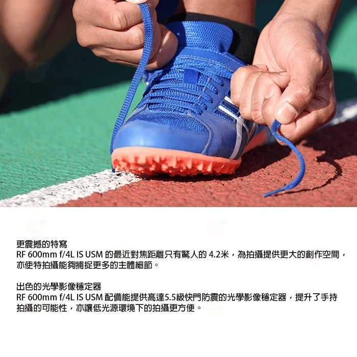 Canon RF 600mm F4 L IS USM 超望遠定焦鏡頭 大砲 台灣佳能公司貨 適用 R3 R5 R6-細節圖6