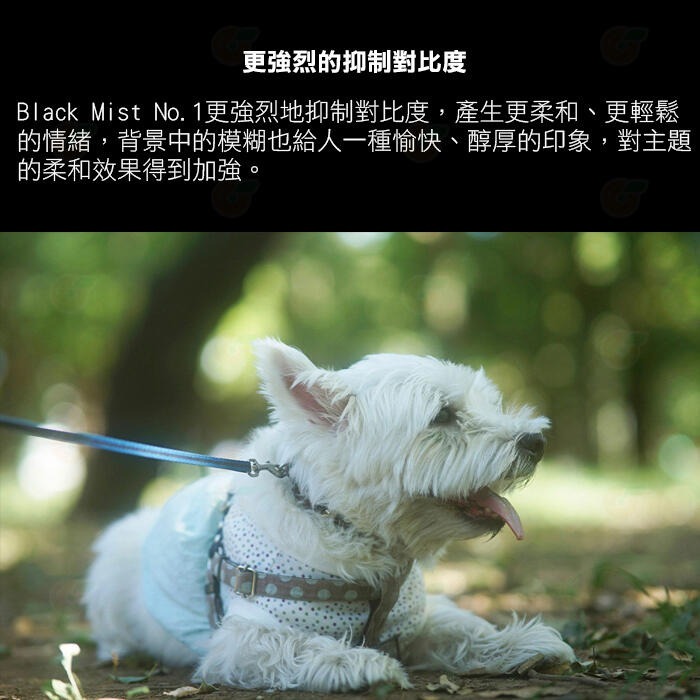 特價出清 KENKO Black Mist No.1 55mm 77mm 82mm 黑柔焦鏡片 電影感 柔焦鏡 濾鏡-細節圖4