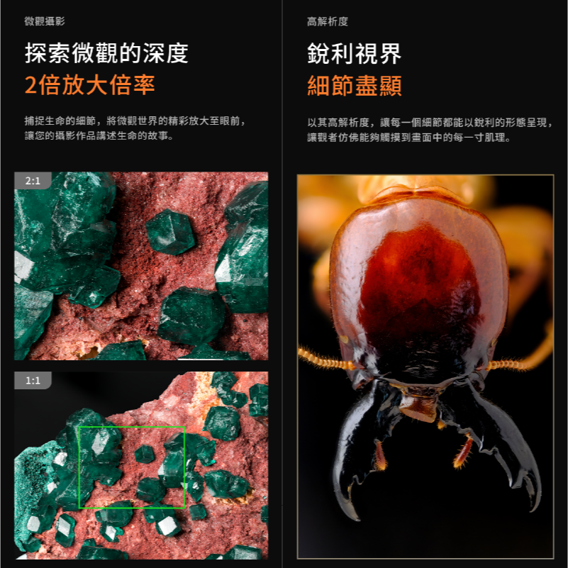 深光 SG-image 100mm T2.9 2X 微距定焦鏡頭 全片幅 APS-C SONY L-Mount 珠寶近拍-細節圖4