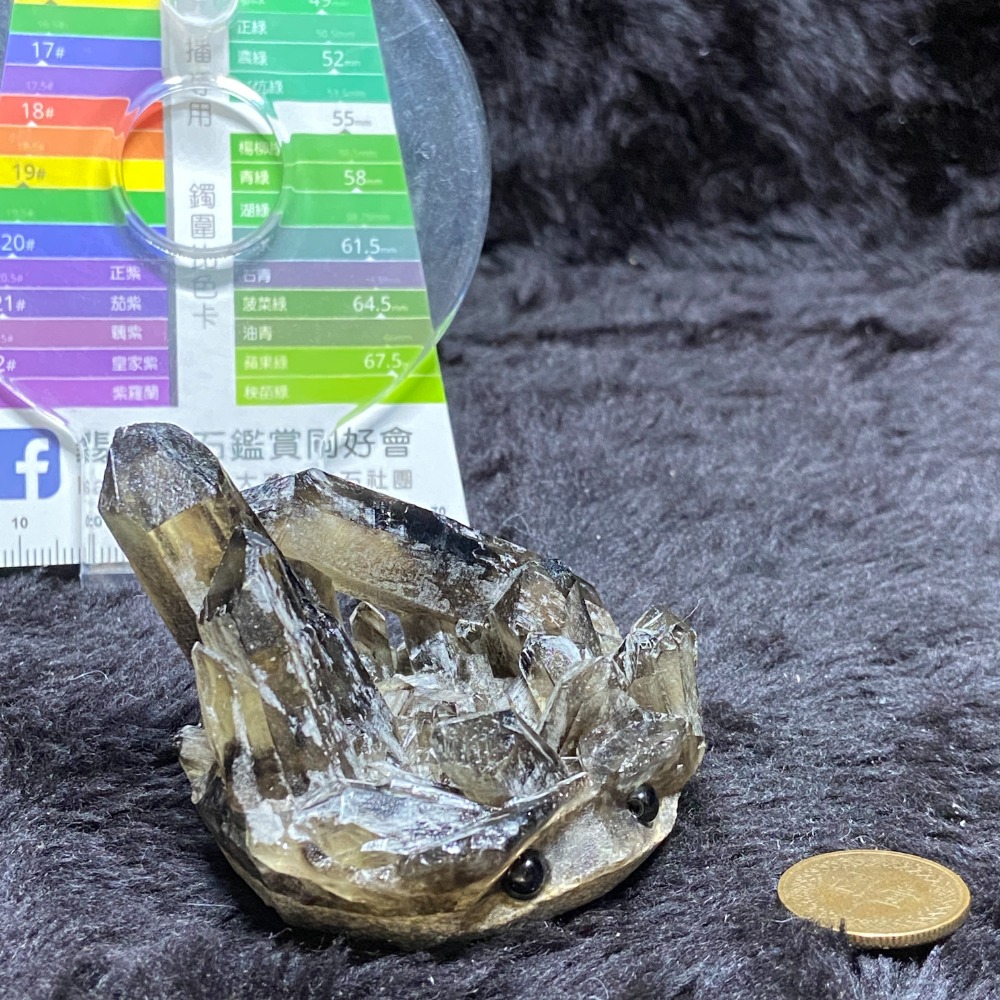 茶晶小刺蝟126.2g-細節圖2