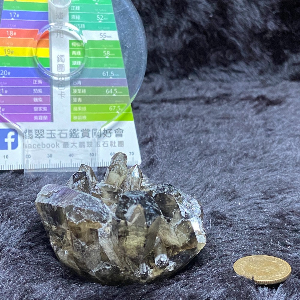 茶晶小刺蝟126.2g-細節圖3