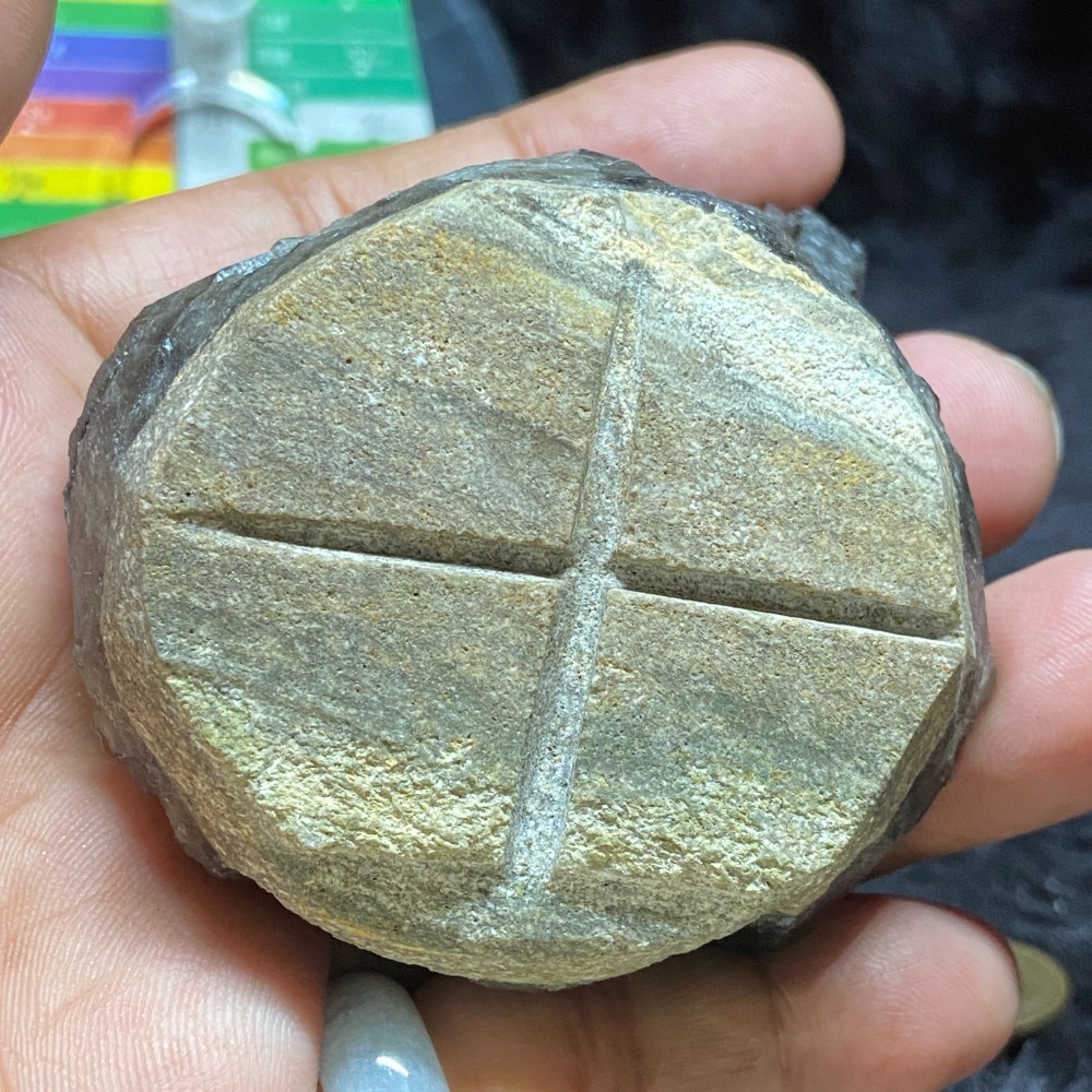 茶晶小刺蝟126.2g-細節圖6