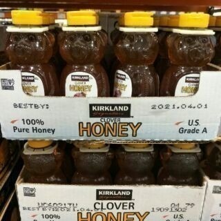 #369 HONEY BEAR 小熊造型蜂蜜 #703761 好市多 小熊蜂蜜 蜂蜜 造型蜂蜜 科克蘭 Kirkland-細節圖2