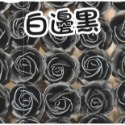 白邊黑1朵 (鐵絲另購)