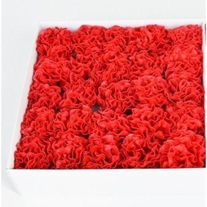 【Ava香皂花】康乃馨花束 康乃馨香皂花 香皂花康乃馨 手工康乃馨 手工乾燥花 盆栽 插花 花材 母親節-細節圖4