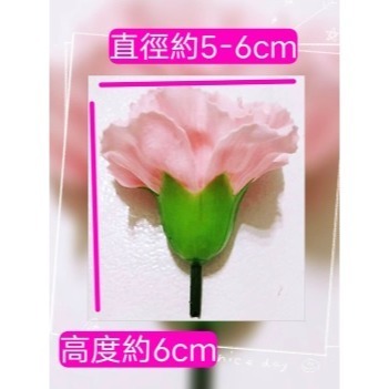 【Ava香皂花】康乃馨花束 康乃馨香皂花 香皂花康乃馨 手工康乃馨 手工乾燥花 盆栽 插花 花材 母親節-細節圖6