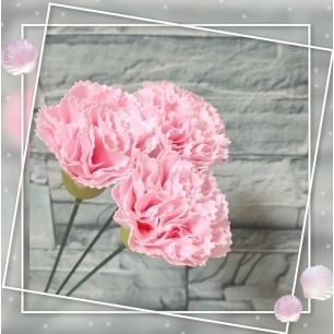 【Ava香皂花】康乃馨花束 康乃馨香皂花 香皂花康乃馨 手工康乃馨 手工乾燥花 盆栽 插花 花材 母親節-規格圖6