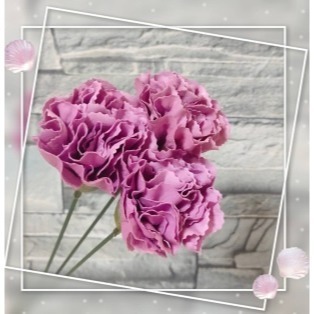 葡萄紫1朵 (鐵絲另購)