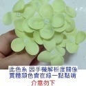 【Ava香皂花】韓式小繡球香皂花 繡球花花束 繡球花盆栽 繡球花 香皂花 插花 裝飾花束 點綴 香皂花 肥皂花 居家裝飾-規格圖5