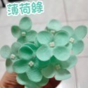 【Ava香皂花】韓式小繡球香皂花 繡球花花束 繡球花盆栽 繡球花 香皂花 插花 裝飾花束 點綴 香皂花 肥皂花 居家裝飾-規格圖5