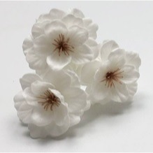 【Ava香皂花】櫻花香皂花 櫻花花束 櫻花盆栽 插花 裝飾花束 點綴 香皂花 肥皂花 香皂花頭 居家裝飾 聖誕節-規格圖5