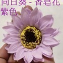 【Ava香皂花】向日葵 太陽花 香皂花 向日葵花束 肥皂花 香皂向日葵 花頭 居家裝飾 畢業季-規格圖5