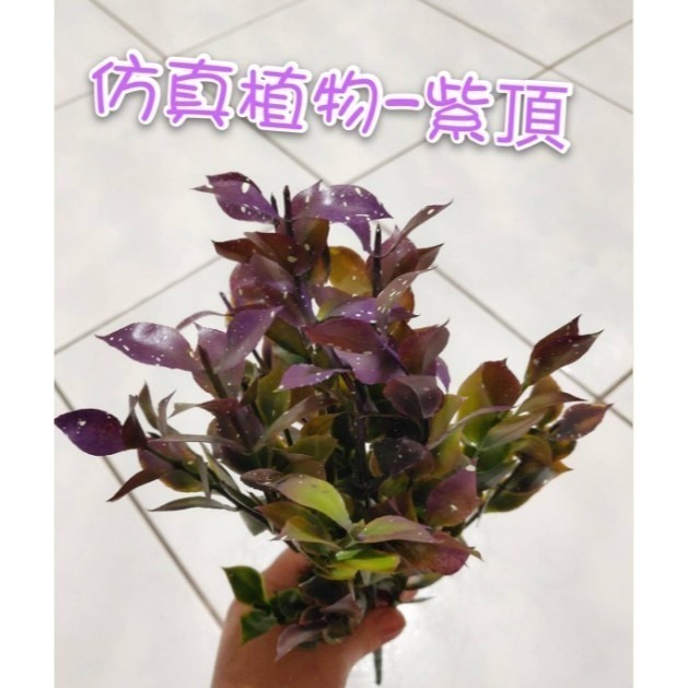 【Ava】仿紫頂 綠色植物 仿真花 仿真植物 客廳裝飾 花瓶 仿真葉 居家 裝飾品擺件 花束 插花 綠葉-細節圖2