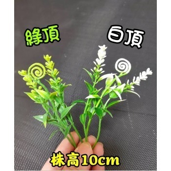 【Ava香皂花】創意小磨菇 紅果 青果 禮物 diy配件 花束 盆栽 配件 裝飾 插花 點綴 仿真 園藝 拍照道具-細節圖4