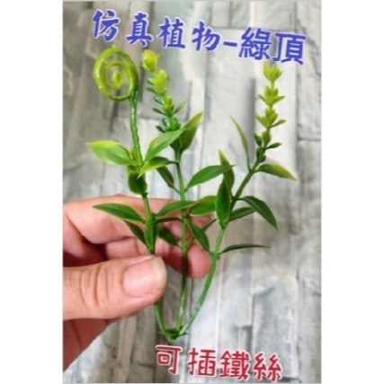 【Ava香皂花】創意小磨菇 紅果 青果 禮物 diy配件 花束 盆栽 配件 裝飾 插花 點綴 仿真 園藝 拍照道具-規格圖9