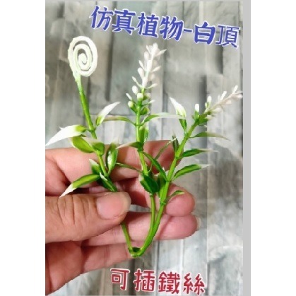 【Ava香皂花】創意小磨菇 紅果 青果 禮物 diy配件 花束 盆栽 配件 裝飾 插花 點綴 仿真 園藝 拍照道具-規格圖9