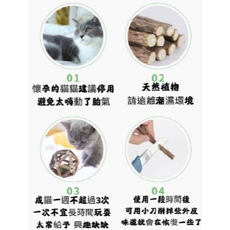 貓薄荷球 啃咬球 玩具球 貓草球 鈴鐺球 木天蓼貓薄荷球 貓咪磨牙棒 貓玩具 鸚鵡寵物啃咬球-細節圖7