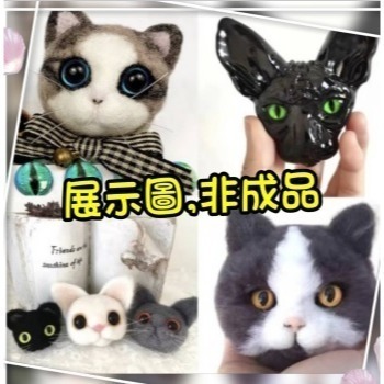 玻璃眼睛 動物眼睛 恐龍眼睛 彩色眼睛 動物義眼 扭扭棒 毛根 動物眼睛配件 毛根 羊毛氈材料 玩偶眼睛仿真眼睛 貓眼睛-細節圖8