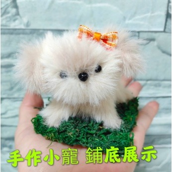 乾青苔 乾苔蘚 仿真青苔 仿真苔蘚 插花配件 仿真绿色植物 插花花材 花藝配件 盆栽裝飾 青苔 苔藓 手工藝材料-細節圖3
