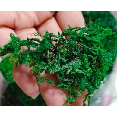乾青苔 乾苔蘚 仿真青苔 仿真苔蘚 插花配件 仿真绿色植物 插花花材 花藝配件 盆栽裝飾 青苔 苔藓 手工藝材料-細節圖4