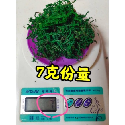乾青苔 乾苔蘚 仿真青苔 仿真苔蘚 插花配件 仿真绿色植物 插花花材 花藝配件 盆栽裝飾 青苔 苔藓 手工藝材料-細節圖6