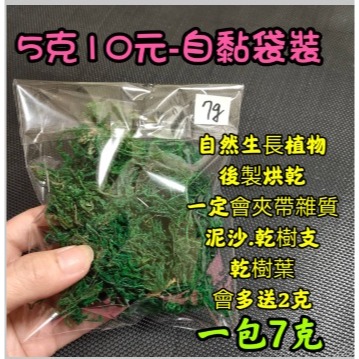 乾青苔 乾苔蘚 仿真青苔 仿真苔蘚 插花配件 仿真绿色植物 插花花材 花藝配件 盆栽裝飾 青苔 苔藓 手工藝材料-規格圖6