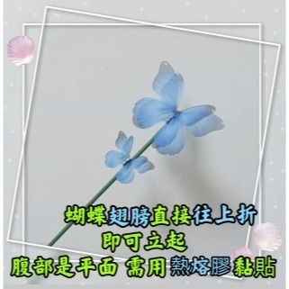 3cm 5cm雙層立體薄紗蝴蝶 薄紗蝴蝶片 仿真蝴蝶 仿妝蝴蝶 漸變蝴蝶diy配件 相框髮夾服裝盆栽花束點綴禮品裝飾-細節圖3