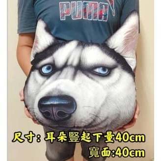 清倉價 3D 哈士奇抱枕毯 絨毛毯 抱枕 枕頭 空調被 腰靠 狗狗造型-細節圖2
