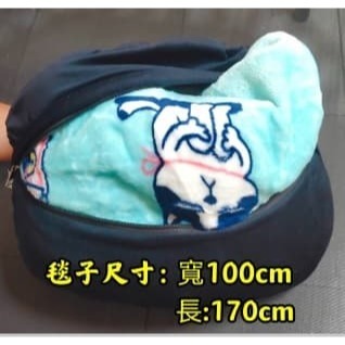 清倉價 3D 哈士奇抱枕毯 絨毛毯 抱枕 枕頭 空調被 腰靠 狗狗造型-細節圖4