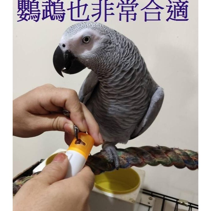 全自動寵物磨爪器 電動磨甲器 砂輪修甲器 動物修甲器 貓 狗 鸚鵡-細節圖4