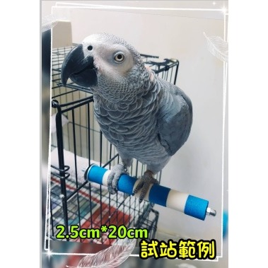 可拆洗鸚鵡站棍 磨砂站棒 鸚鵡棲木 鸚鵡磨爪棒 籠內籠外都可以鎖 站架 站棍 磨砂棒 鳥站棍 鸚鵡鳥站棒-細節圖3
