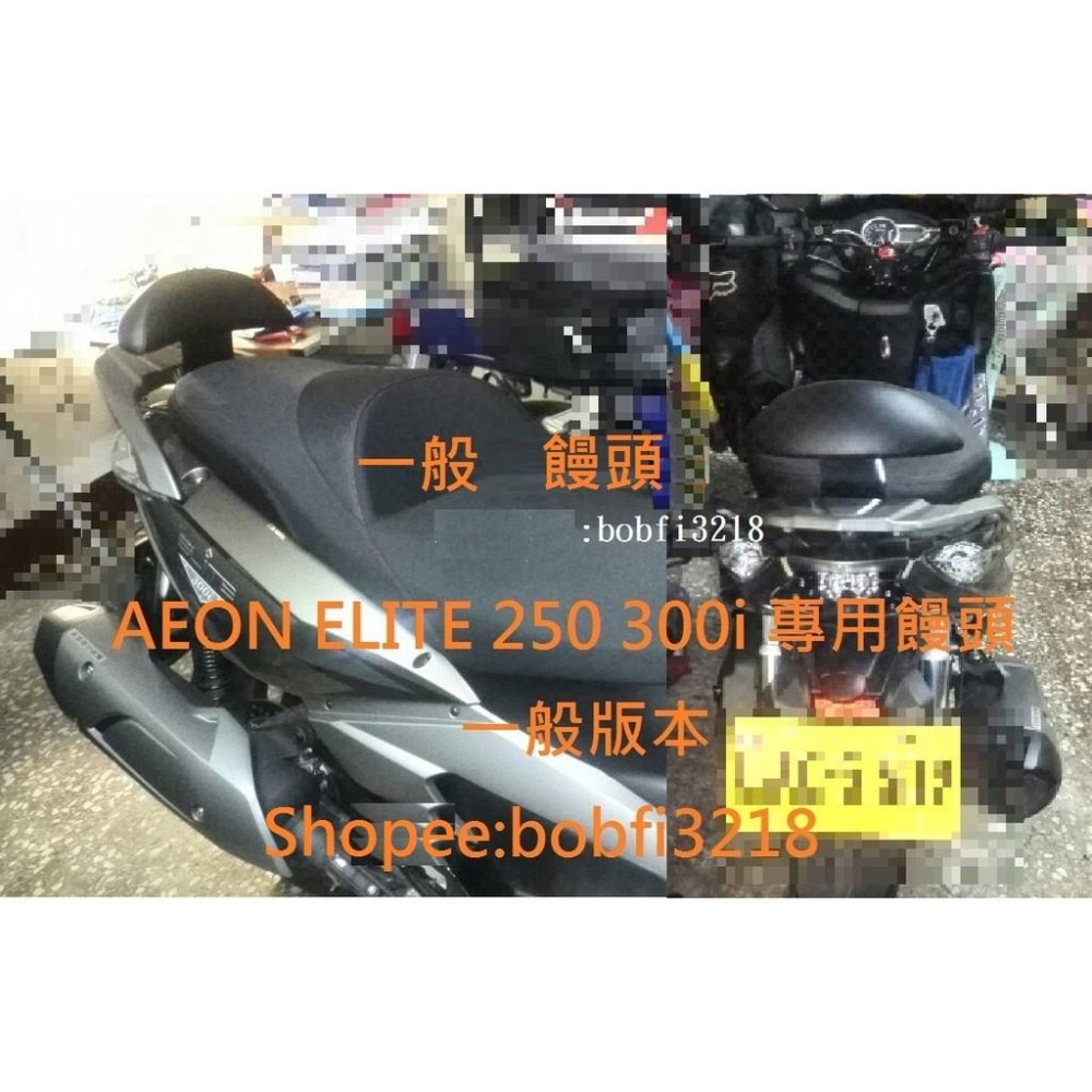 TEB 台中安心後靠背 5mm厚支架 白鐵 不生鏽 AEON 宏佳騰 Elite 250 300 後靠背 靠背 饅頭-細節圖5