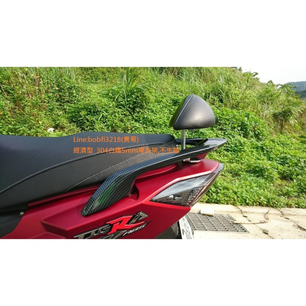 TEB 台中安心後靠背 5mm厚支架 白鐵 不生鏽 PGO Tigra 彪 虎 靠背 150 饅頭 125 後靠背 彪虎-細節圖3