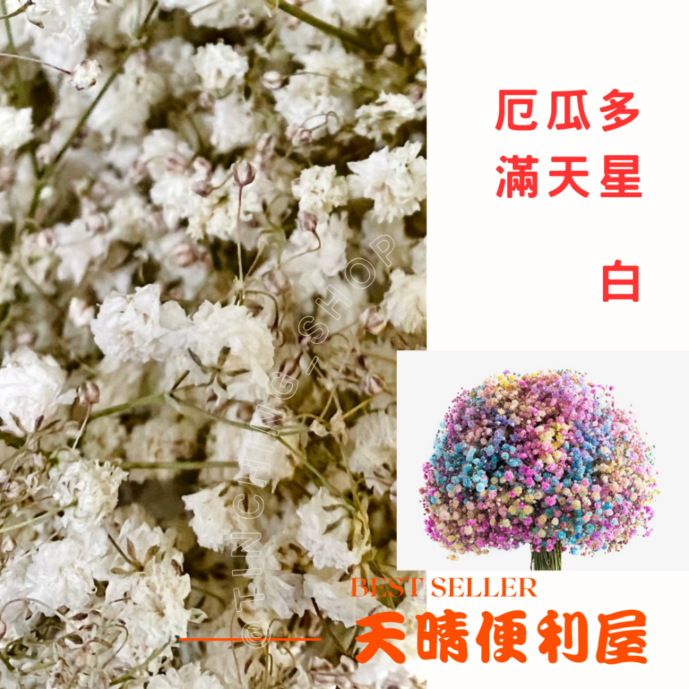 情人節限定花束【天晴便利屋】厄瓜多進口  滿天星,  乾燥花滿天星, 斯比亞情人草  (可洽現有 數量, 顏色等)-細節圖7