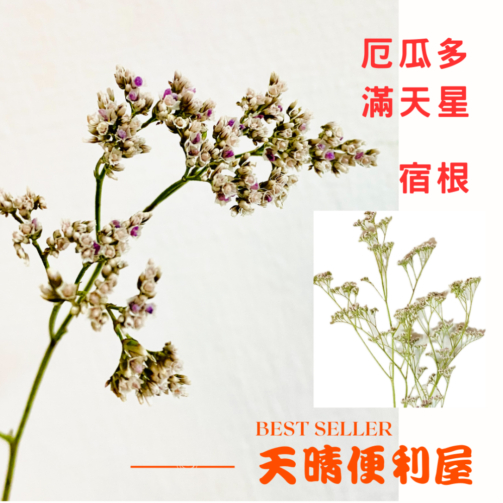 情人節限定花束【天晴便利屋】厄瓜多進口  滿天星,  乾燥花滿天星, 斯比亞情人草  (可洽現有 數量, 顏色等)-細節圖8