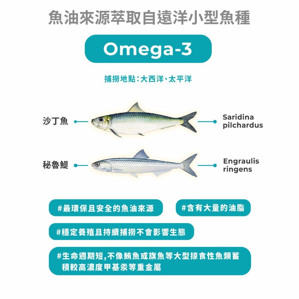 【藥師健生活】4832高純度魚油 (48%EPA+32%DHA) 90顆/盒 台灣製 高濃度魚油 好吸收-細節圖8