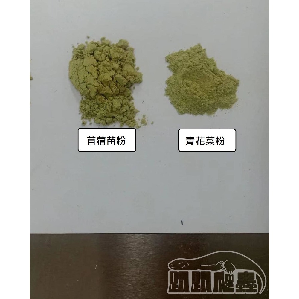 [趴趴爬蟲] 天然草粉、陸龜、兔子天竺鼠、蜥蜴、龍貓、桑葉粉、仙人掌粉、苜蓿草粉、黑麥草、青花菜粉、陸龜飼料-細節圖2