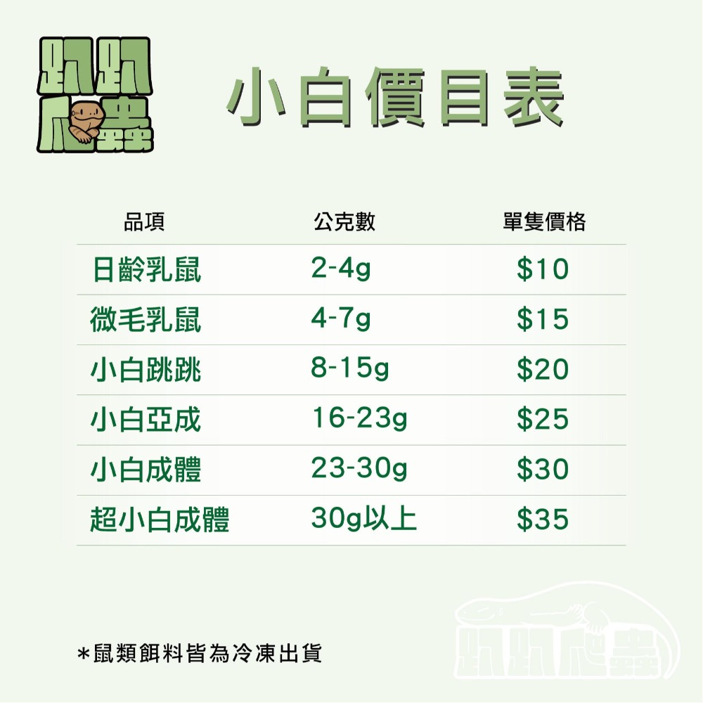 小白鼠專區-細節圖2