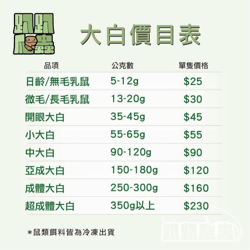 大白鼠專區-細節圖2