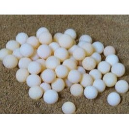 [趴趴爬蟲]  鱉蛋、生鮮鱉蛋，1粒2塊，含豐富卵磷脂，貓、狗、爬蟲類全面營養補給-細節圖2