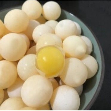 [趴趴爬蟲]  鱉蛋、生鮮鱉蛋，1粒2塊，含豐富卵磷脂，貓、狗、爬蟲類全面營養補給-細節圖3