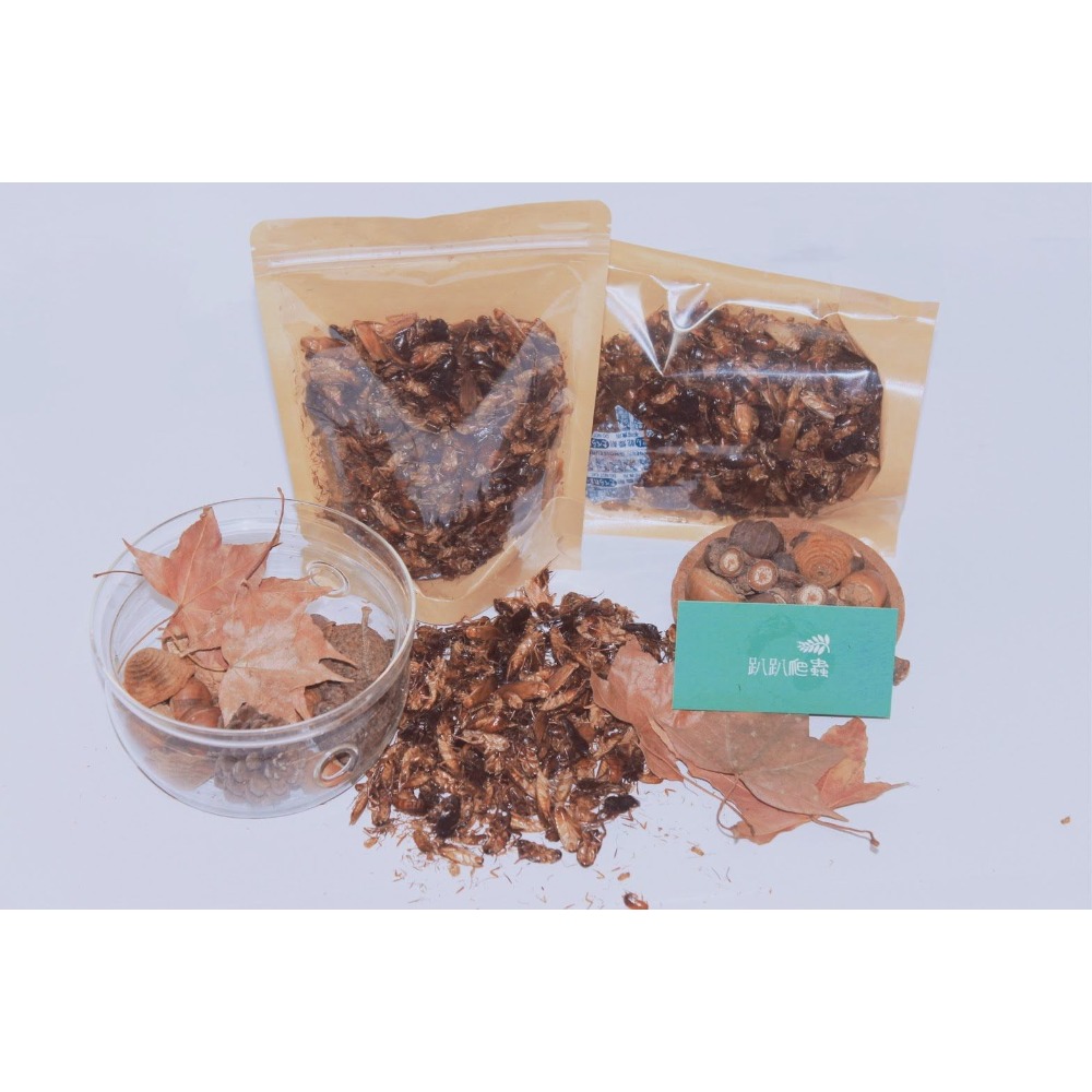 【趴趴爬蟲】櫻桃紅蟑乾、粉-細節圖2