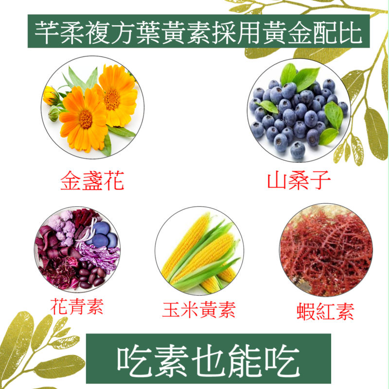 台灣現貨🔖芊柔 葉黃素 花青素 游離型葉黃素 營養品 保健食品 金盞花 機能保健食品 山桑子 機能性 保健品 食品-細節圖6