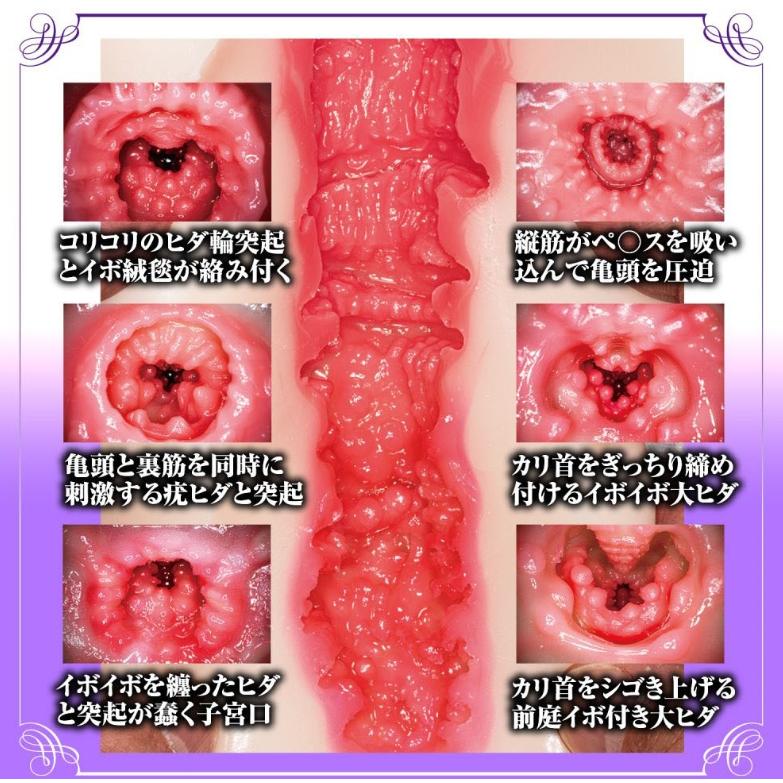 AV 女優熟女系 陰部再現｜神宮寺奈緒｜自慰器｜日本製-細節圖4