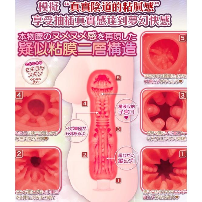 Maccos HORNY 愛慾妖精  自慰器-細節圖3